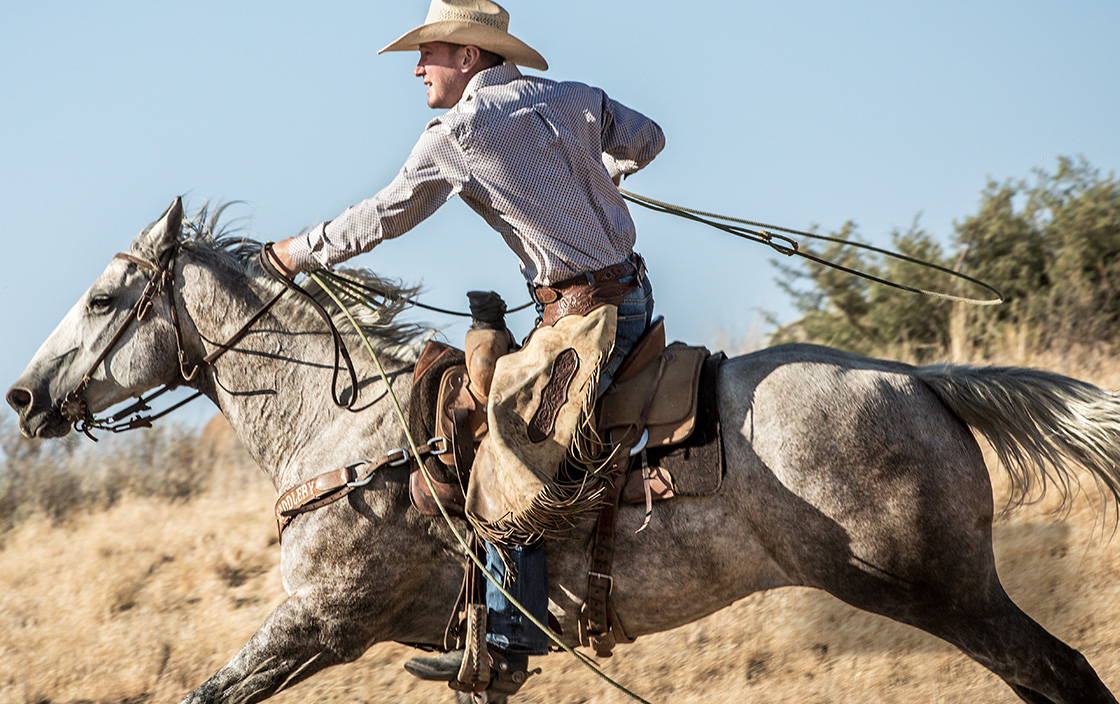 Cody James -Cody James cj5